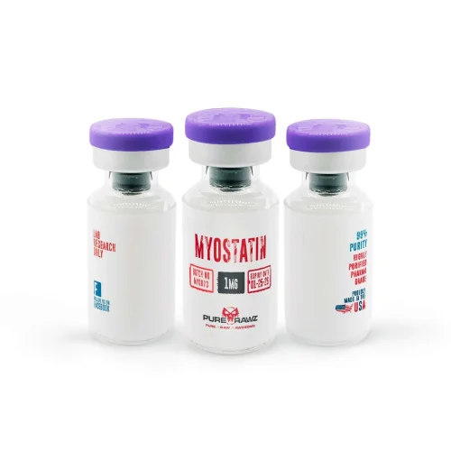 Myostatin - Image 2